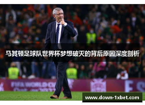 马其顿足球队世界杯梦想破灭的背后原因深度剖析