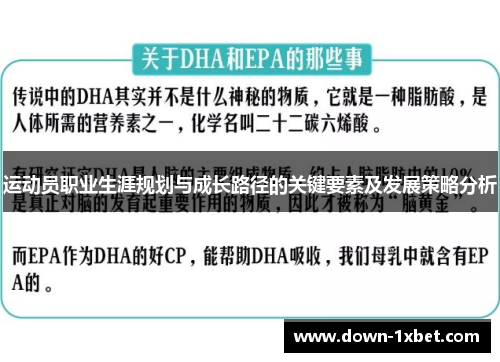 运动员职业生涯规划与成长路径的关键要素及发展策略分析