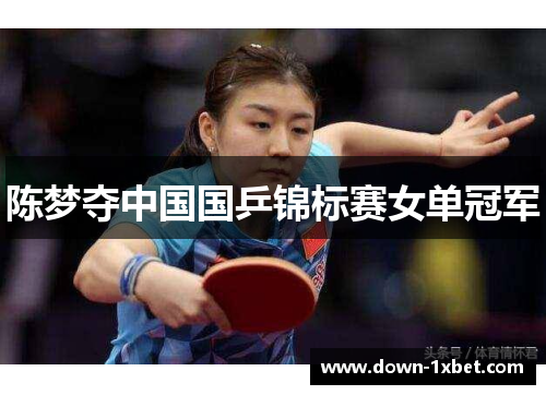 陈梦夺中国国乒锦标赛女单冠军