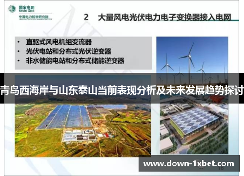 青岛西海岸与山东泰山当前表现分析及未来发展趋势探讨